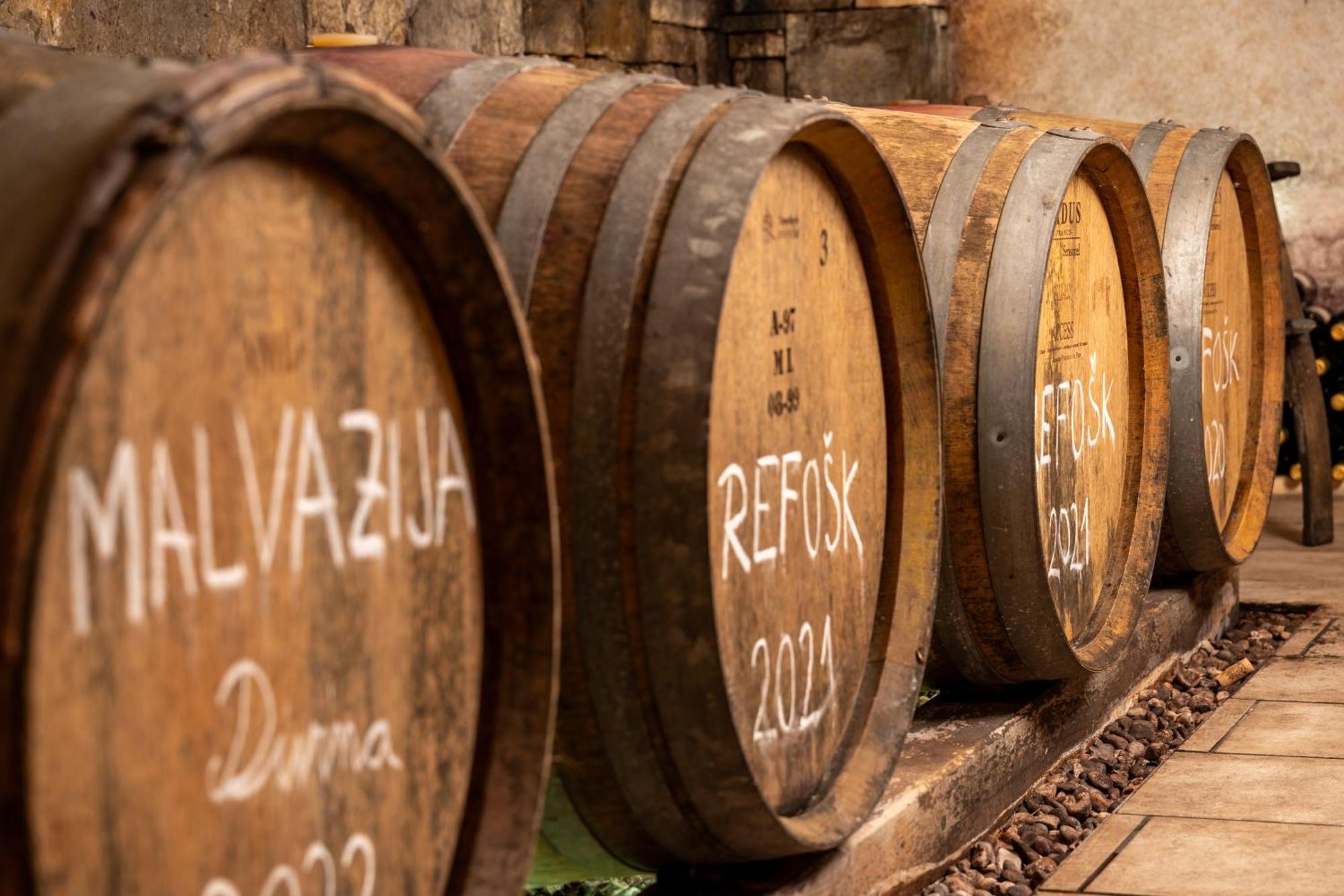 Séjour à la campagne Wine House Rakar Gračišče