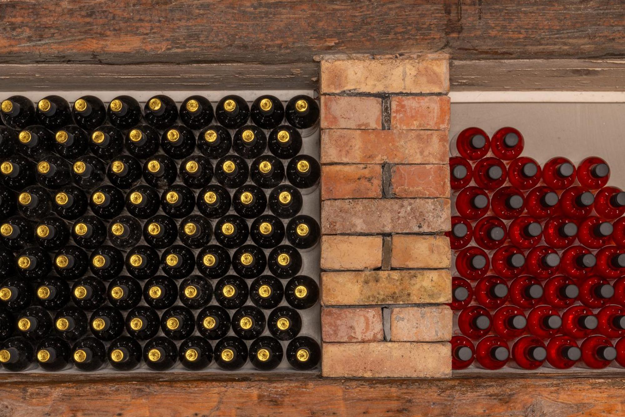 Wine House Rakar Gračišče