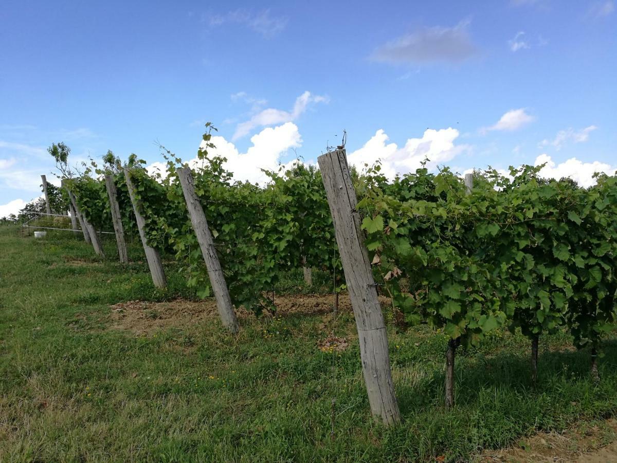Séjour à la campagne Wine House Rakar Gračišče